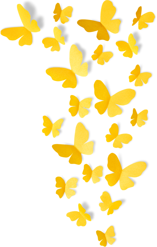 Pretty Yellow Butterflies 