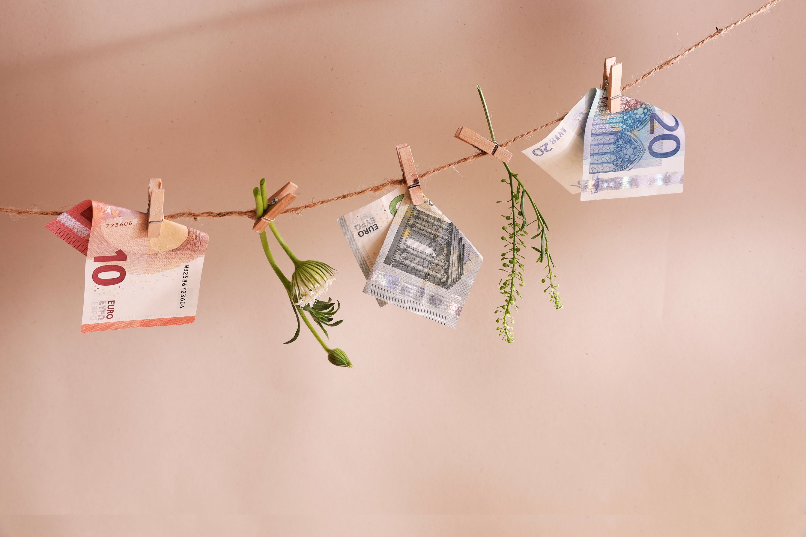 Hanging Euro Banknotes 