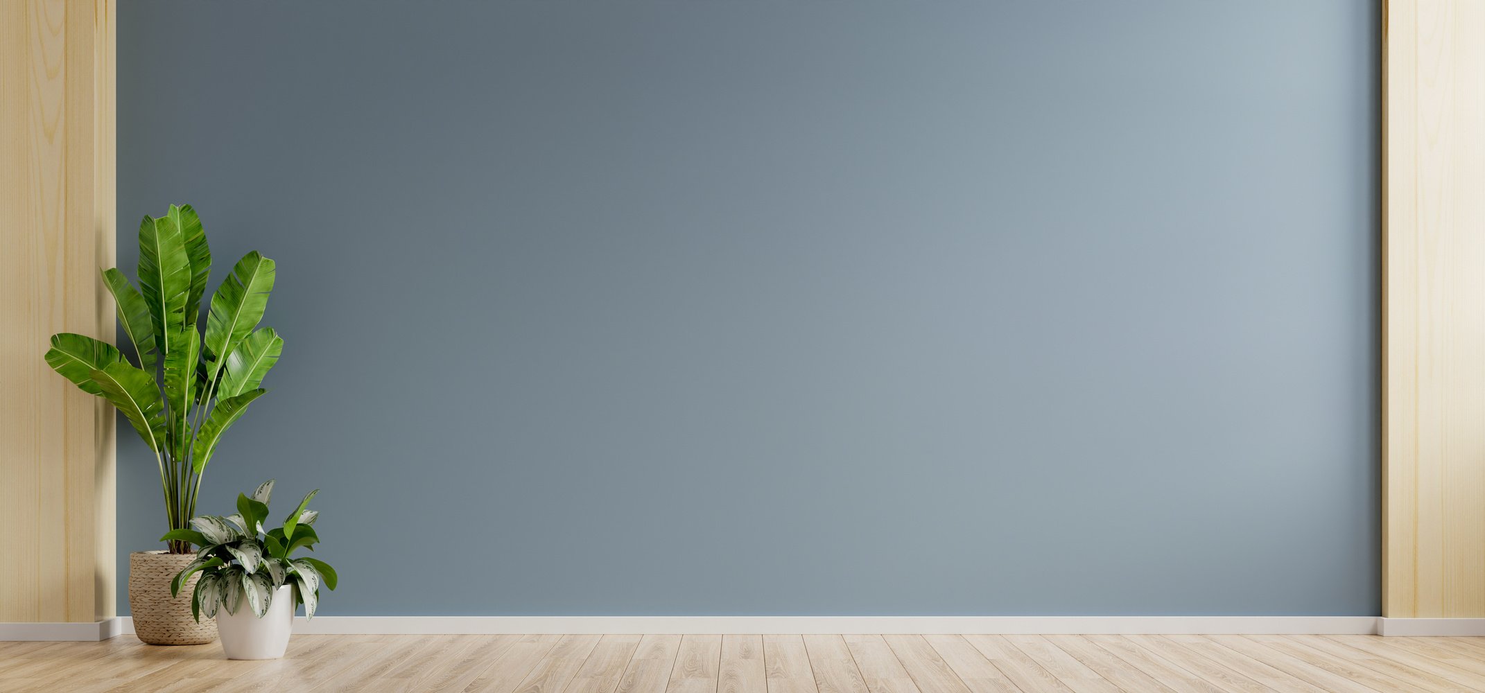 Dark Blue Wall Empty Room with Plants on a Floor