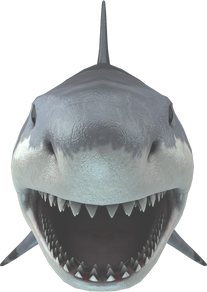 3D Big Shark