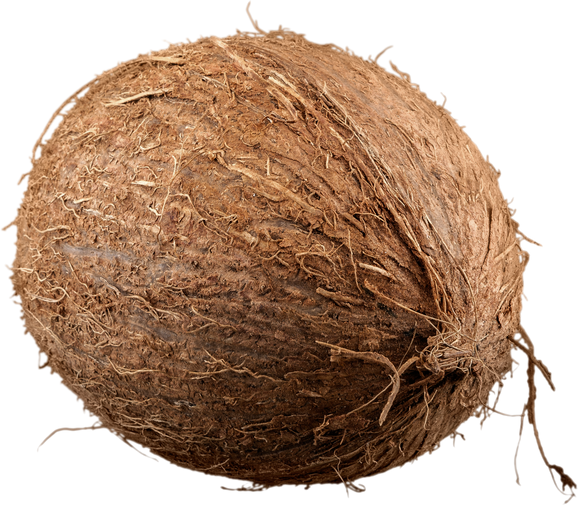 Individual Coconut